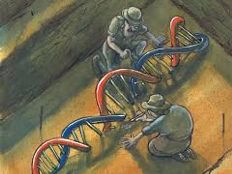 יום ה- DNA 2026 
