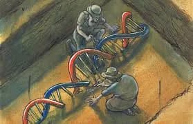 יום ה- DNA 2026 